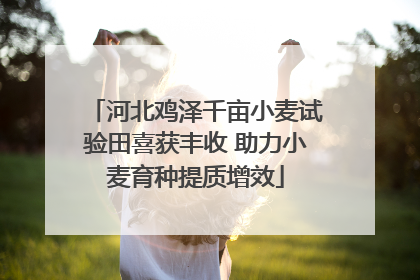 河北鸡泽千亩小麦试验田喜获丰收 助力小麦育种提质增效