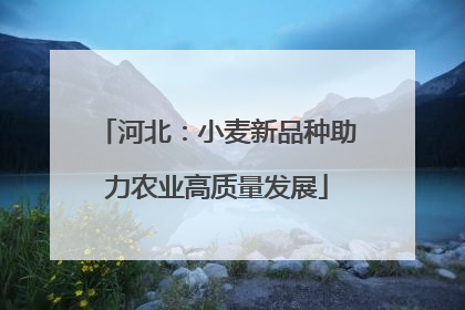 河北：小麦新品种助力农业高质量发展
