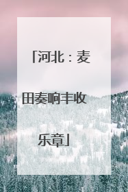 河北：麦田奏响丰收乐章