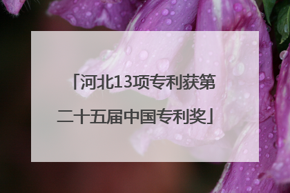 河北13项专利获第二十五届中国专利奖