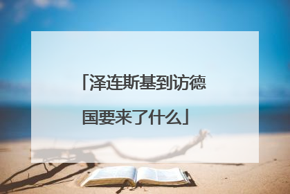 泽连斯基到访德国要来了什么