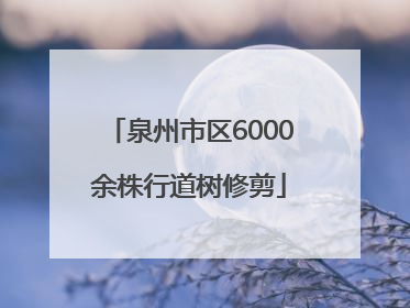 泉州市区6000余株行道树修剪