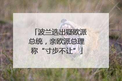 波兰选出疑欧派总统，亲欧派总理称“寸步不让”
