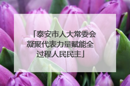泰安市人大常委会凝聚代表力量赋能全过程人民民主