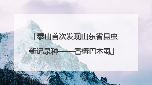 泰山首次发现山东省昆虫新记录种——香椿巴木虱