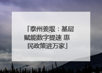 泰州姜堰：基层赋能数字提速 惠民政策进万家