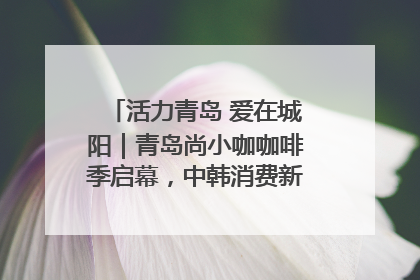 活力青岛 爱在城阳｜青岛尚小咖咖啡季启幕，中韩消费新场景点燃夏日热情