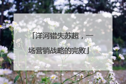 洋河错失苏超，一场营销战略的完败
