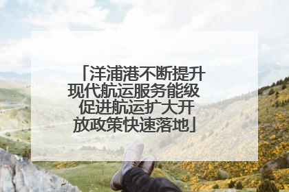 洋浦港不断提升现代航运服务能级 促进航运扩大开放政策快速落地