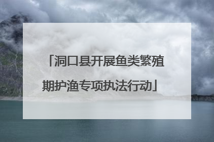 洞口县开展鱼类繁殖期护渔专项执法行动