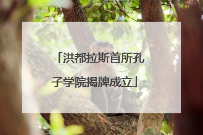 洪都拉斯首所孔子学院揭牌成立