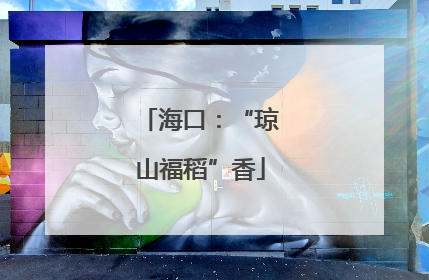 海口：“琼山福稻”香
