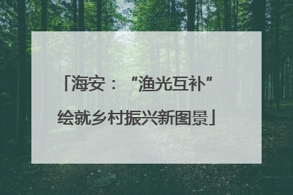 海安：“渔光互补” 绘就乡村振兴新图景
