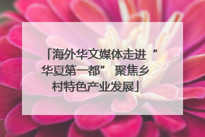 海外华文媒体走进“华夏第一都” 聚焦乡村特色产业发展