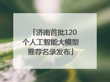 济南首批120个人工智能大模型推荐名录发布