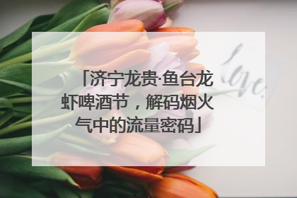 济宁龙贵·鱼台龙虾啤酒节，解码烟火气中的流量密码