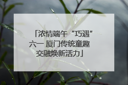 浓情端午“巧遇”六一 厦门传统童趣交融焕新活力