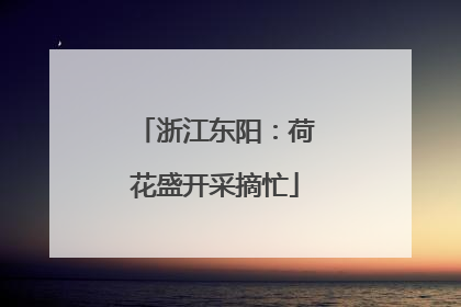 浙江东阳：荷花盛开采摘忙