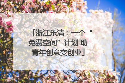 浙江乐清：一个“免费空间”计划 助青年创意变创业
