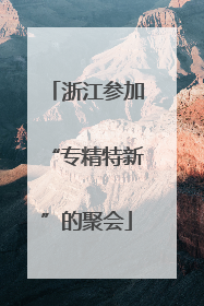 浙江参加“专精特新”的聚会