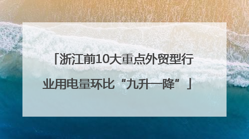 浙江前10大重点外贸型行业用电量环比“九升一降”
