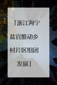 浙江海宁盐官推动乡村片区组团发展