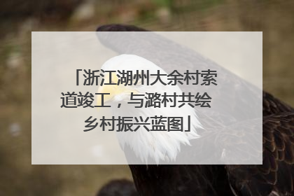浙江湖州大余村索道竣工，与潞村共绘乡村振兴蓝图