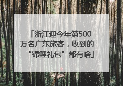 浙江迎今年第500万名广东旅客，收到的“锦鲤礼包”都有啥