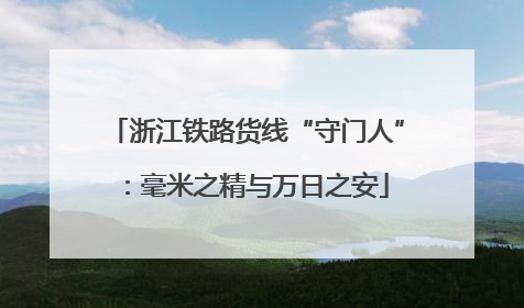 浙江铁路货线“守门人”：毫米之精与万日之安