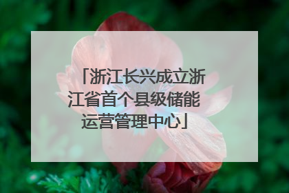 浙江长兴成立浙江省首个县级储能运营管理中心