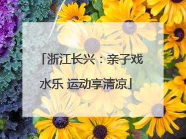 浙江长兴：亲子戏水乐 运动享清凉