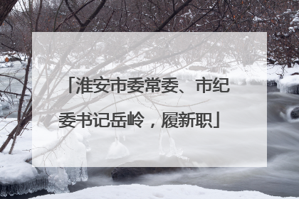 淮安市委常委、市纪委书记岳岭，履新职