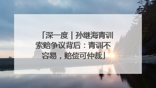 深一度｜孙继海青训索赔争议背后：青训不容易，赔偿可仲裁