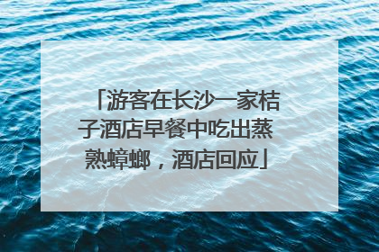 游客在长沙一家桔子酒店早餐中吃出蒸熟蟑螂，酒店回应