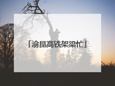 渝昆高铁架梁忙