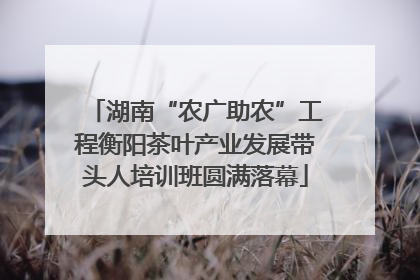 湖南“农广助农”工程衡阳茶叶产业发展带头人培训班圆满落幕