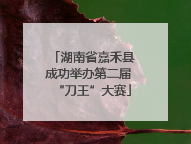 湖南省嘉禾县成功举办第二届“刀王”大赛