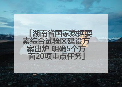 湖南省国家数据要素综合试验区建设方案出炉 明确5个方面20项重点任务