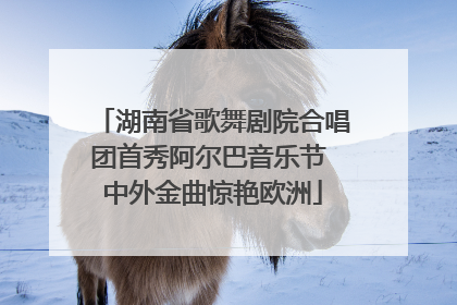 湖南省歌舞剧院合唱团首秀阿尔巴音乐节 中外金曲惊艳欧洲