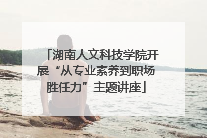 湖南人文科技学院开展“从专业素养到职场胜任力”主题讲座