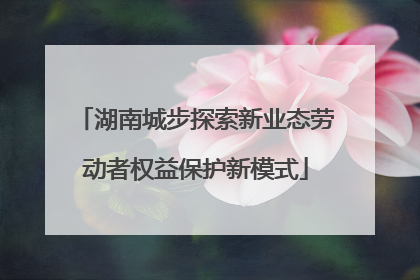 湖南城步探索新业态劳动者权益保护新模式