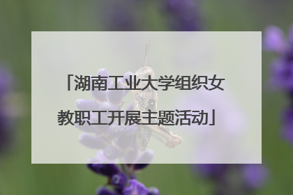 湖南工业大学组织女教职工开展主题活动