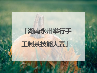 湖南永州举行手工制茶技能大赛