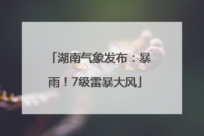湖南气象发布：暴雨！7级雷暴大风