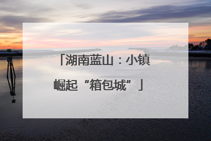 湖南蓝山：小镇崛起“箱包城”