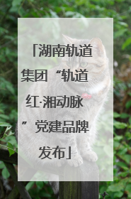 湖南轨道集团“轨道红·湘动脉”党建品牌发布
