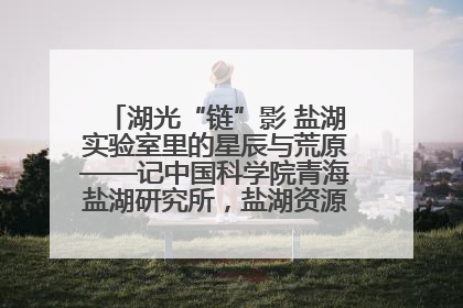 湖光“链”影 盐湖实验室里的星辰与荒原——记中国科学院青海盐湖研究所，盐湖资源化学实验室党总支书记、副主任刘忠