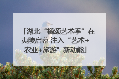 湖北“橘颂艺术季”在夷陵启幕 注入“艺术+农业+旅游”新动能