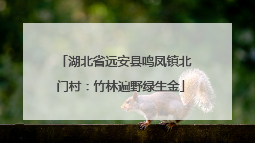 湖北省远安县鸣凤镇北门村：竹林遍野绿生金