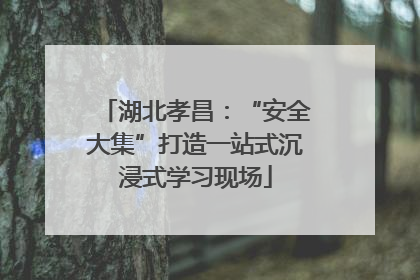 湖北孝昌：“安全大集”打造一站式沉浸式学习现场